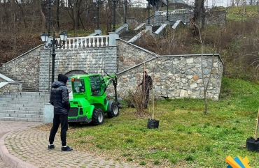 У Житомирі в парку Шодуара висаджують декоративні дерева