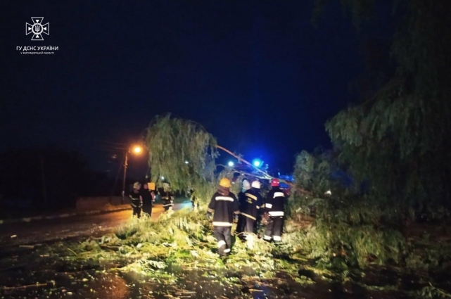 На Житомирщині внаслідок сильної грози на дорогу впали 14 дерев та 81 населений пункт знеструмлений