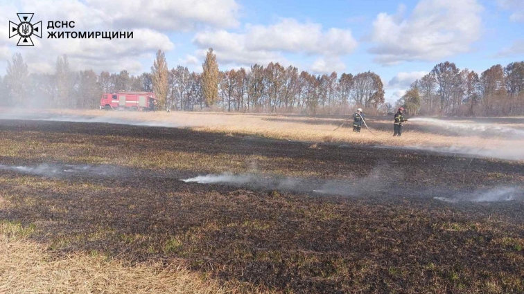 Упродовж доби на Житомирщині ліквідували 2 пожежі в природних екосистемах
