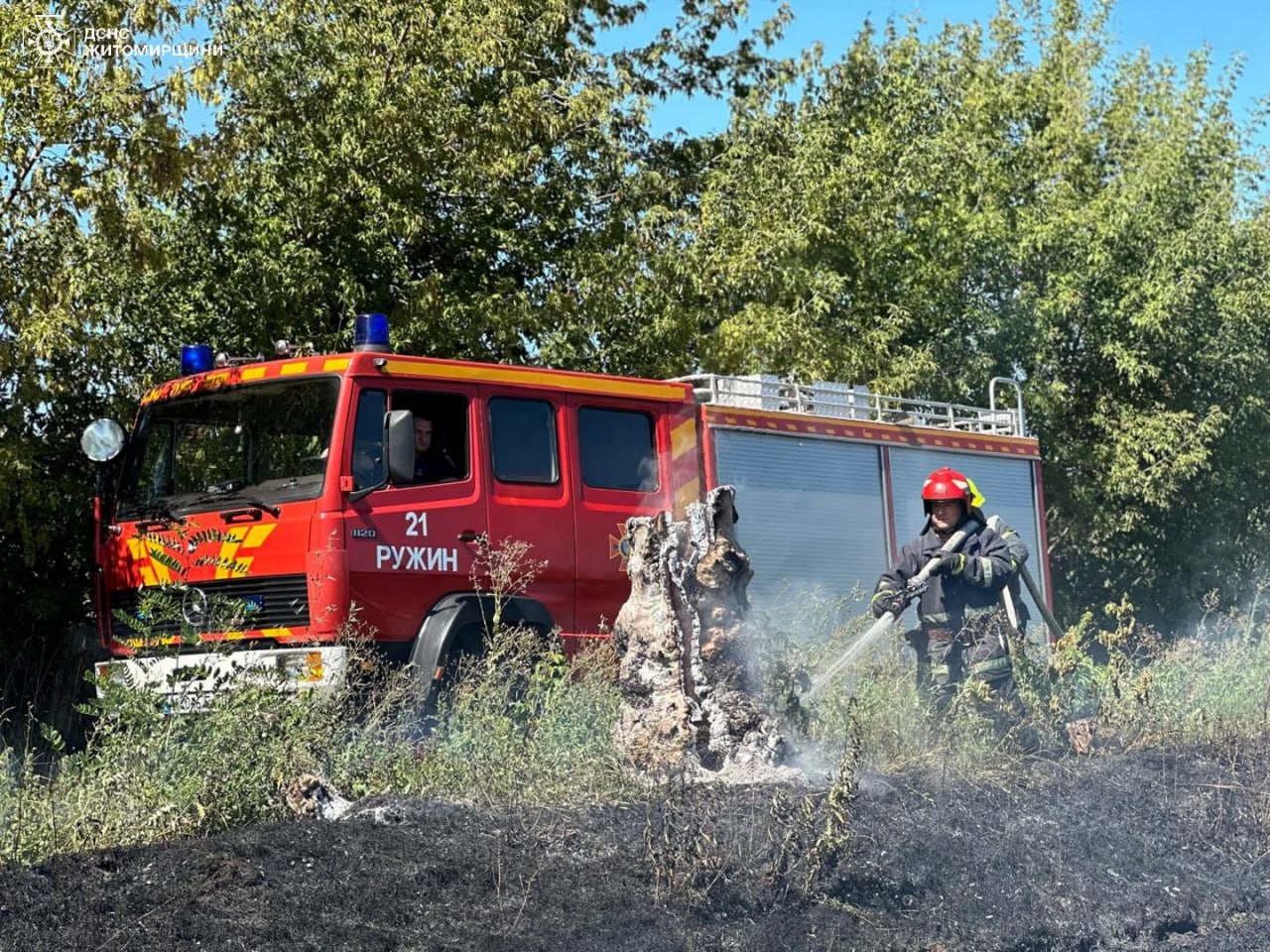 Від початку року в області вже ліквідовано 469 пожеж сухої рослинності на загальній площі майже 318 га
