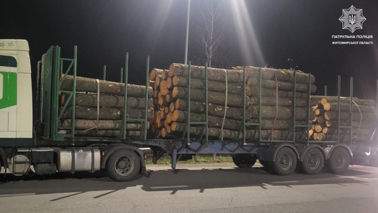 На Житомирщині патрульні виявили три випадки порушення правил перевезення лісопродукції