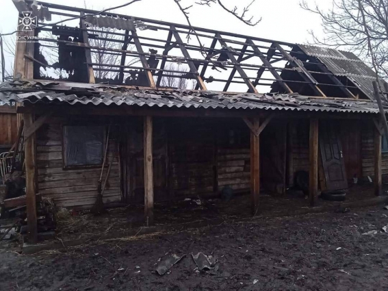 У Романіській громаді під час пожежі в хліві врятували п’ять поросят, дві свині та бичка (ФОТО)