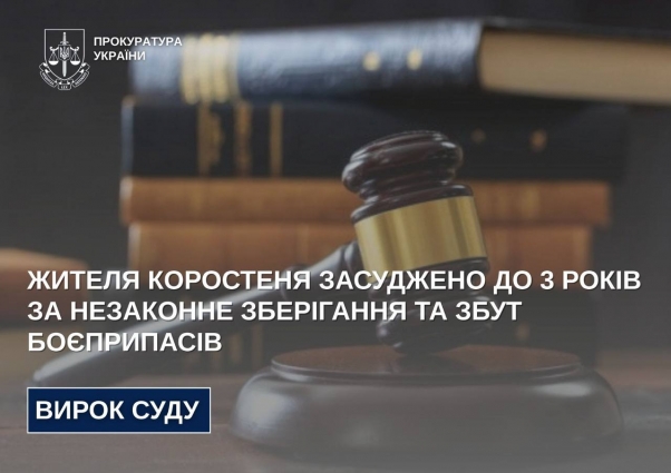 Жителя Коростеня засуджено до 3 років за незаконне зберігання та збут боєприпасів