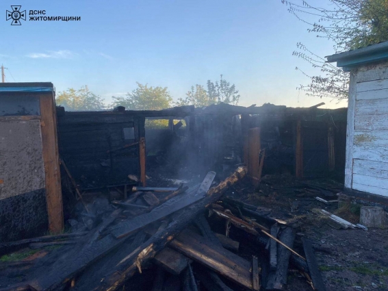 У Хорошівській громаді ліквідували пожежу в сараї, причиною загоряння стало замикання електричних ламп, які гріли курчат