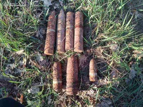 У Житомирському районі місцеві жителі виявили у лісосмузі 7 артилерійських снарядів часів Другої світової війни