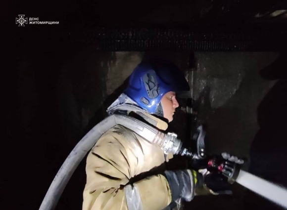 Вогнеборці ліквідували пожежу на території деревообробного підприємства в Овручі