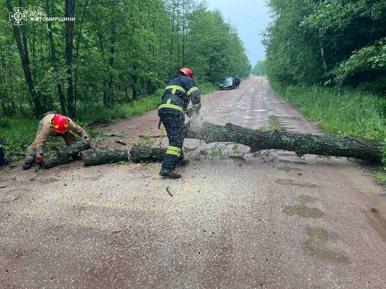 На Житомирщині упродовж доби рятувальники двічі залучалися до прибирання повалених поривами вітру дерев
