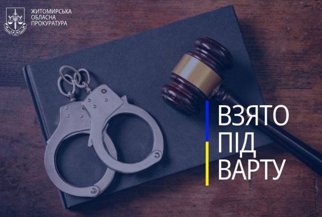 Водія, з вини якого загинув пасажир поблизу села Кам’янка, взято під варту без права внесення застави