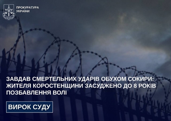 Завдав смертельних ударів обухом сокири: жителя Коростенщини засуджено до 8 років позбавлення волі