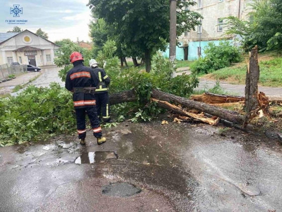 На Житомирщині рятувальники прибрали 7 повалених дерев