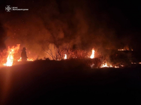 На Житомирщині за добу рятувальниками ліквідовано 14 пожеж сухої трави