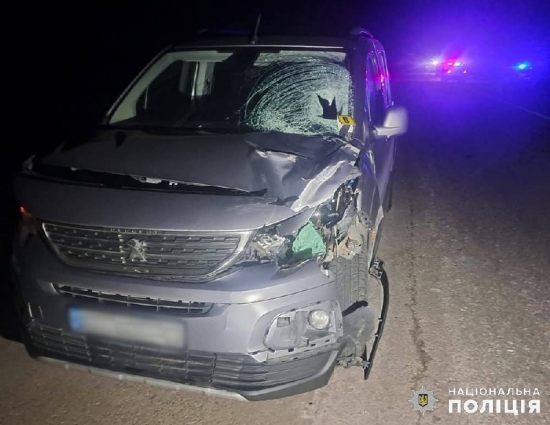 У Коростенському районі під колесами автівки загинув пішохід
