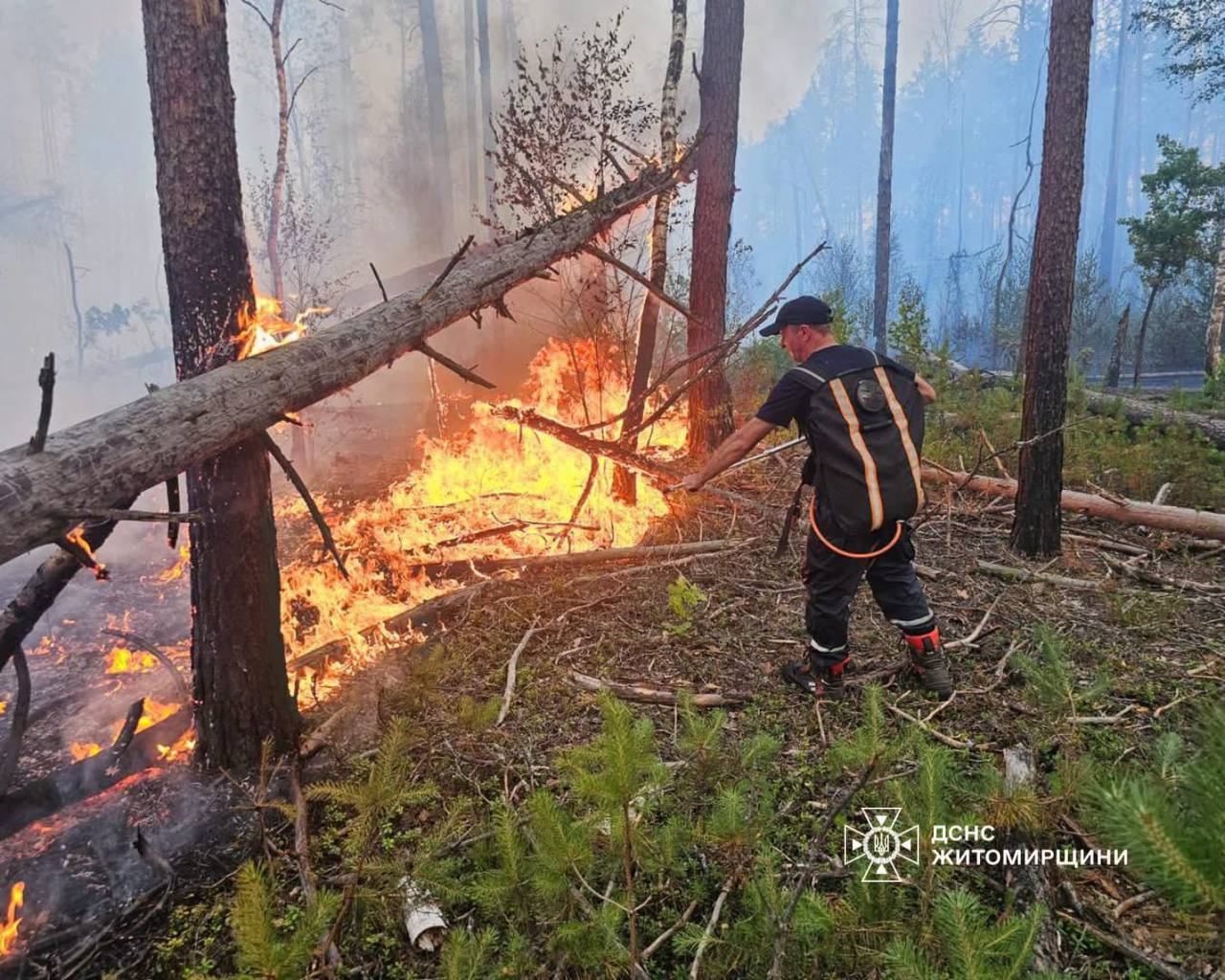 У Коростенському районі рятувальники ліквідовують лісову пожежу