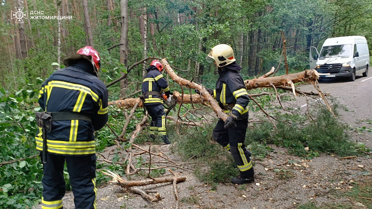 У Коростенському районі за добу рятувальники прибирали з доріг 65 дерев, які впали через пориви вітру