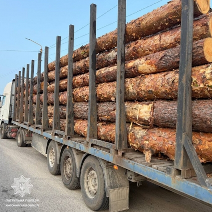 На Житомирщині з початку тижня виявили 6 порушень правил перевезення деревини