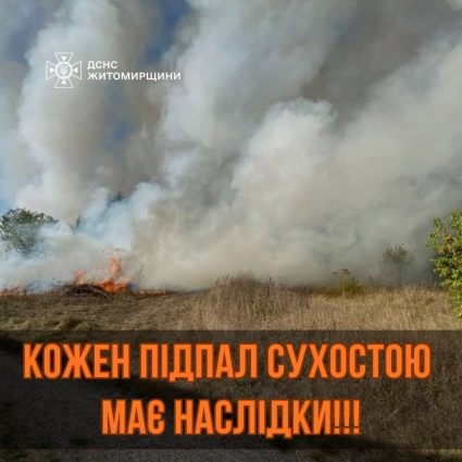 У Звягельському районі горіла суха трава, вогнем пройдено понад 1 га площі