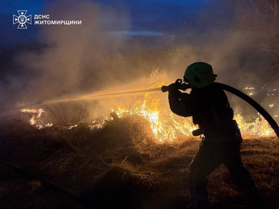 За добу на Житомирщині сталося понад 100 пожеж в екосистемі