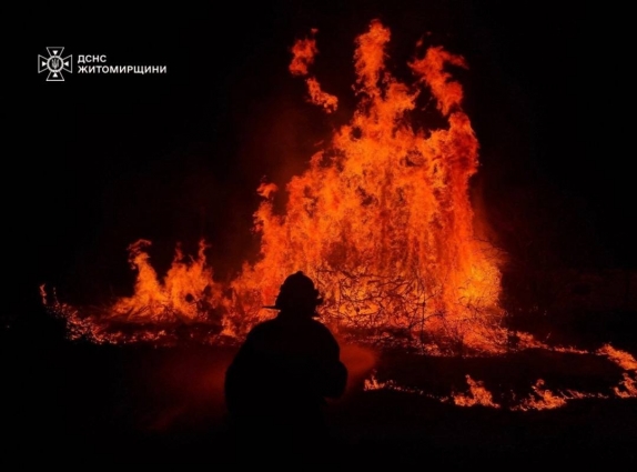 На Житомирщині за добу ліквідовано понад 100 пожеж сухої трави