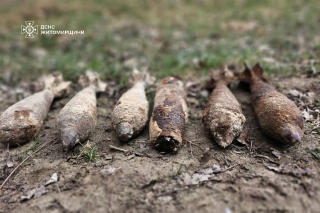 17 небезпечних знахідок знищили піротехніки ДСНС на Житомирщині