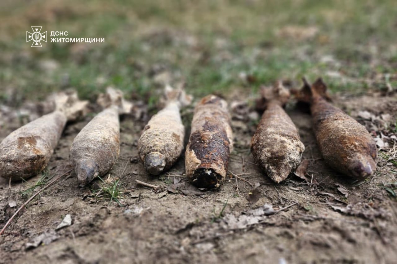 17 небезпечних знахідок знищили піротехніки ДСНС на Житомирщині