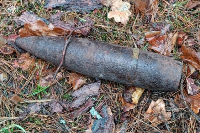 Артилерійський снаряд та авіаційні ракети: на Житомирщині піротехніки знищили три вибухонебезпечних предмети