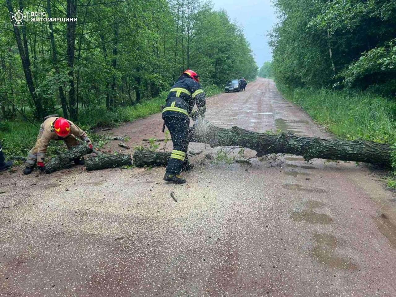 Через пориви вітру у Житомирському районі тричі розчищали дороги від повалених дерев