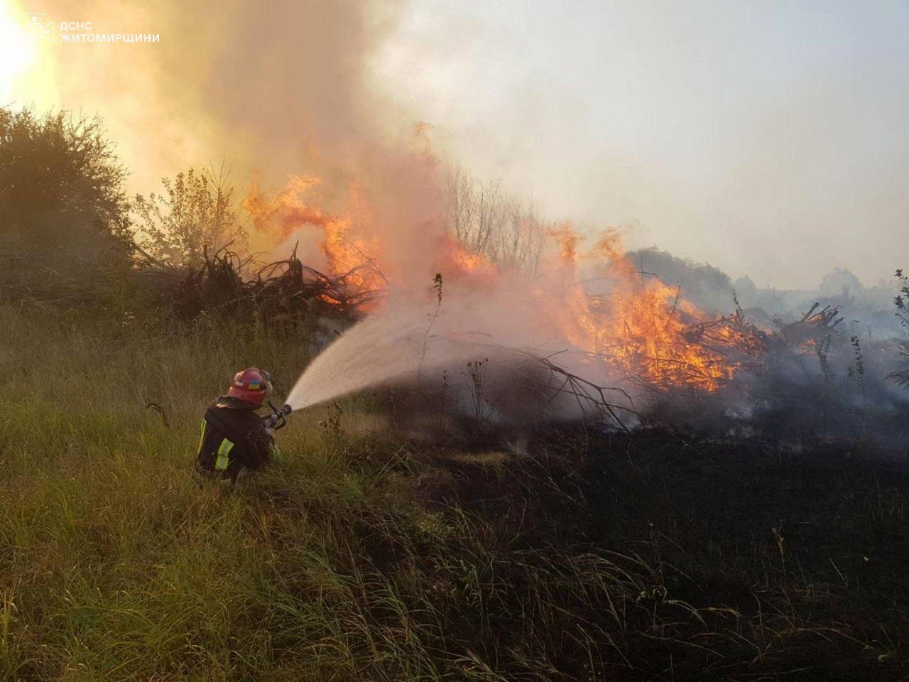 На Житомирщині за минулу добу рятувальники ліквідували 20 пожеж сухої трави