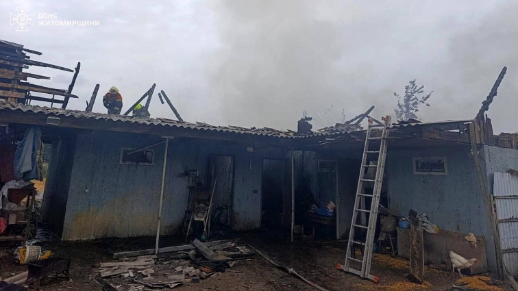 У Житомирському районі під час пожежі в господарській будівлі врятували 30 кроликів