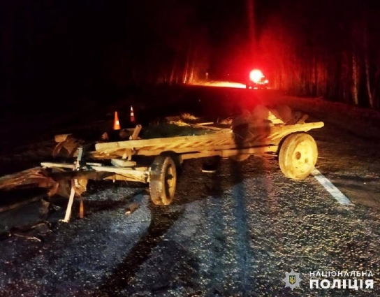 У Романівській громаді легковик зіткнувся з возом: один з водіїв в реанімації