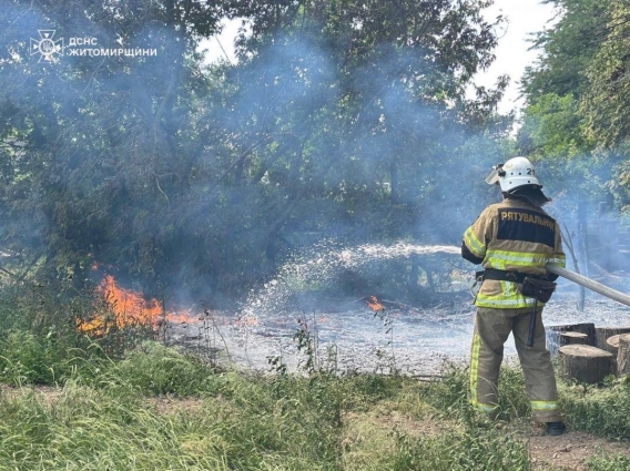 На Житомирщині ліквідували загоряння сухої трави