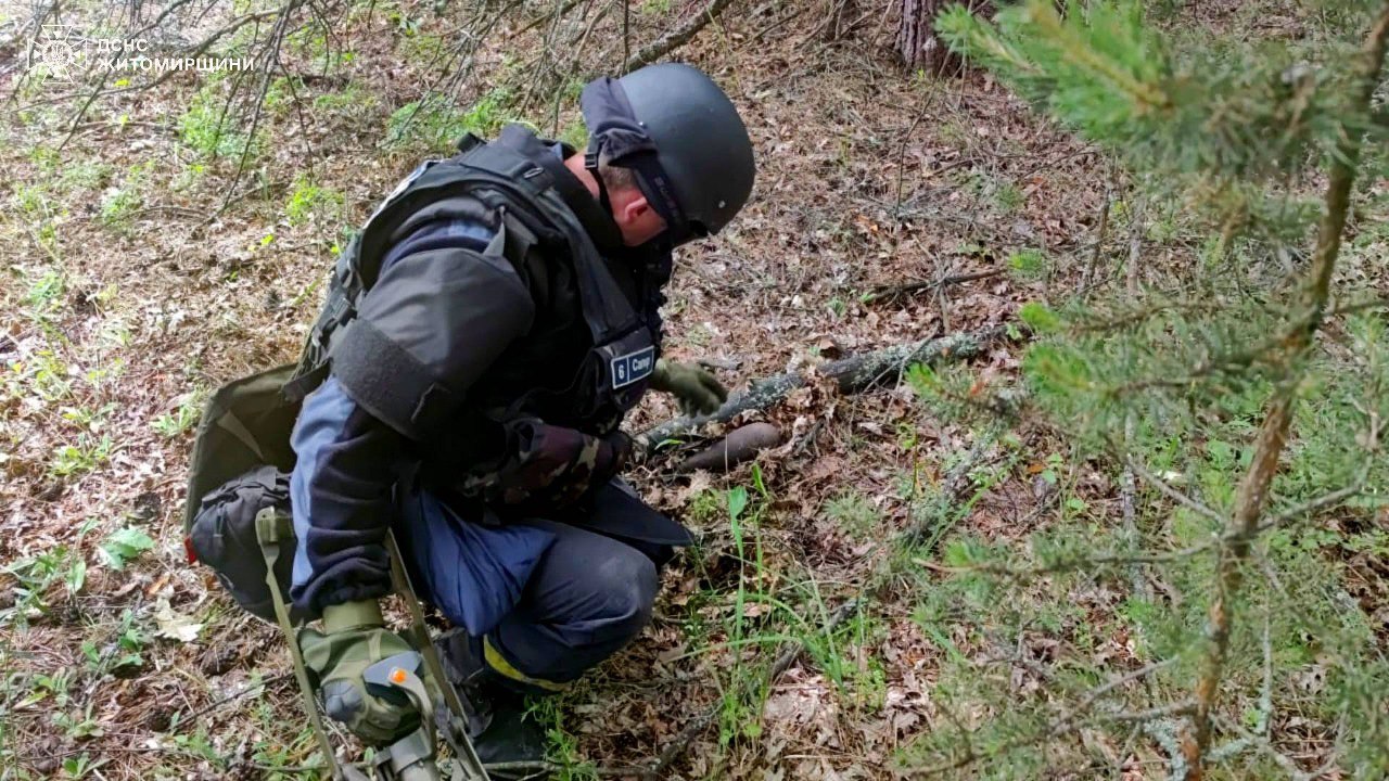 Знешкоджено застарілі боєприпаси часів Другої світової війни на Житомирщині
