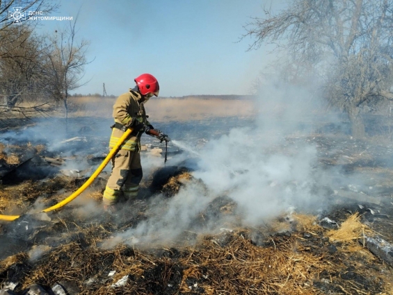 Упродовж минулої доби вогнеборці області ліквідували 67 пожеж на відкритих територіях