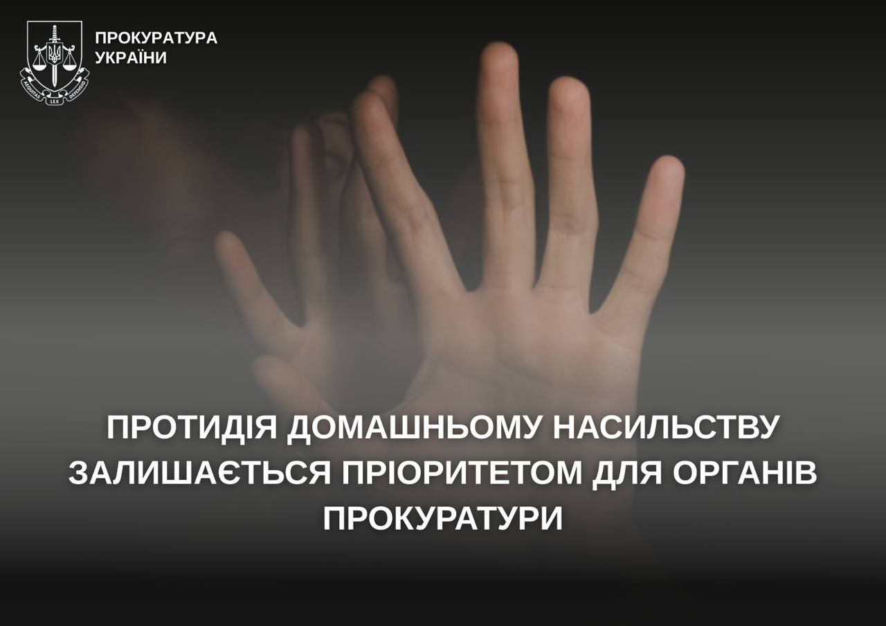 На Звягельщині за минулий рік притягнуто до відповідальності за вчинення домашнього насильства 35 осіб