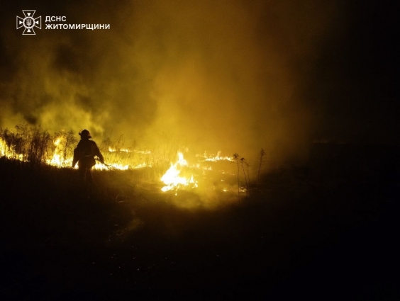 На Житомирщині впродовж минулої доби рятувальниками ліквідовано 12 пожеж