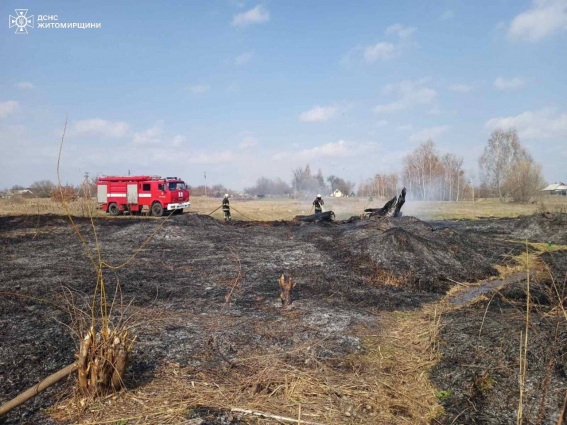 За минулу добу на Житомирщині рятувальники ліквідували 32 пожежі в екосистемах, вогнем пройдено понад 30 гектарів території