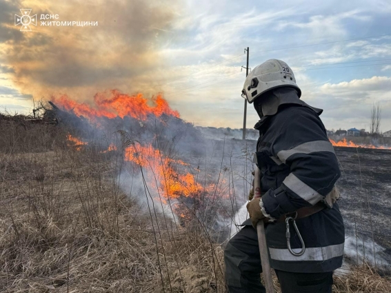 На Житомирщині упродовж доби ліквідовано 45 загорянь сухої рослинності