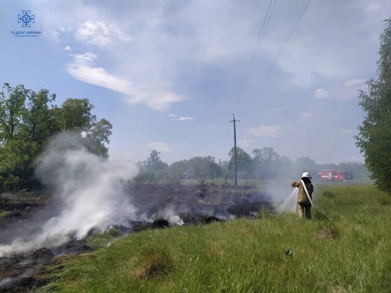 Упродовж доби в області вогнеборці ліквідували 10 пожеж, 2 з яких — у природних екосистемах