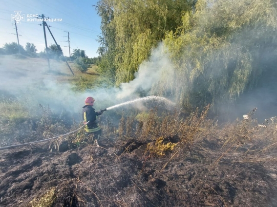 На Житомирщині за минулу добу сталося 15 пожеж: горіло сміття та суха трава