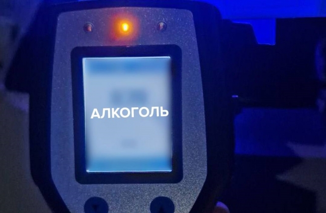 У Житомирі за ніч затримали 4 водіїв у стані алкогольного сп'яніння