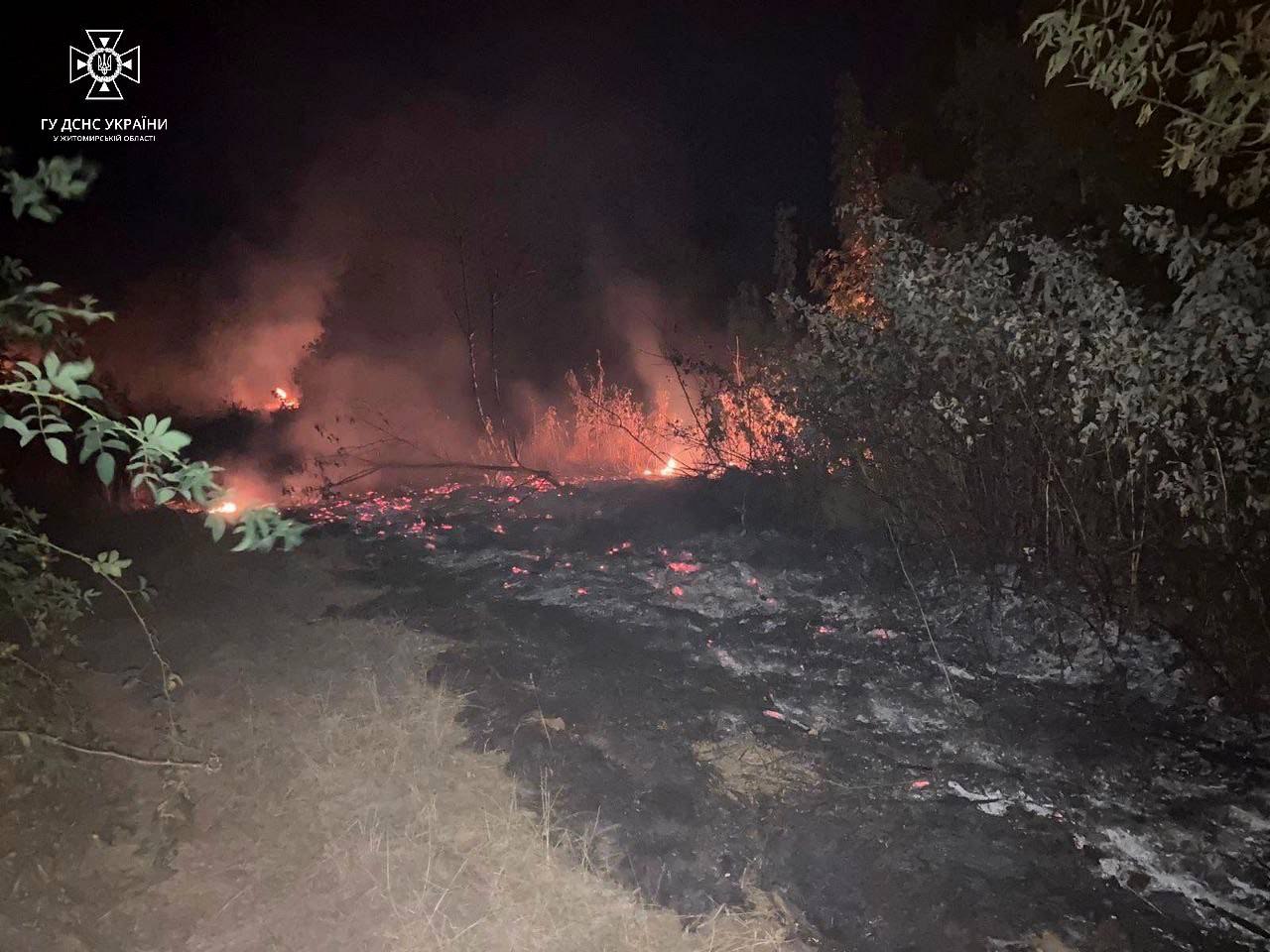 На Житомирщині рятувальники 14 разів залучалися до гасіння сухої трави, під час пожеж опіки отримали двоє людей