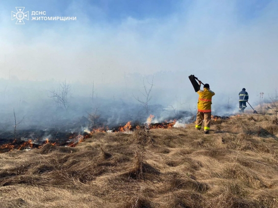 На Житомирщині впродовж доби рятувальники ліквідували 31 пожежу