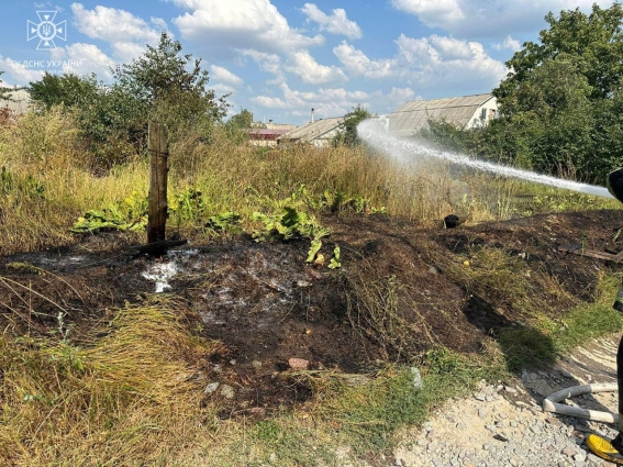 На Житомирщині впродовж доби вогнеборцями ліквідовано 15 загорянь сухої рослинності