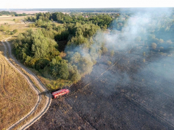 На Житомирщині рятувальники ліквідували 19 пожеж в екосистемах, вогнем пройдено понад 15 га територій