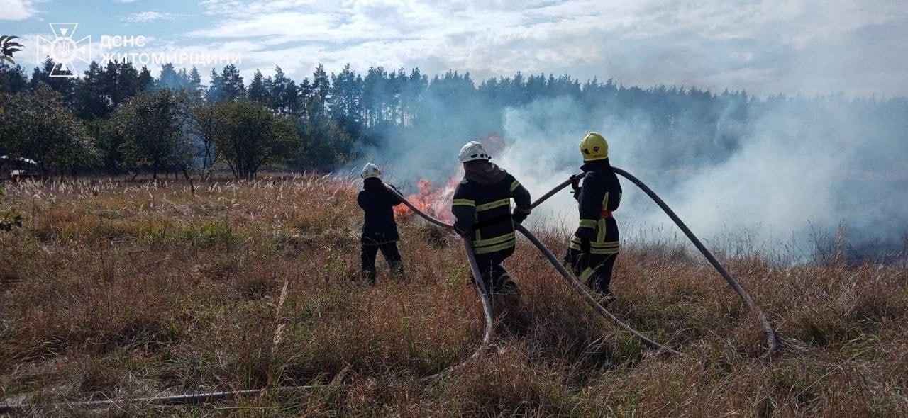 У Бердичівському районі ліквідували загоряння сухої трави, в  цілому за добу рятувальники загасили 31 таку пожежу