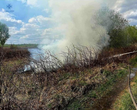 Упродовж доби вогнеборці ліквідували десять пожеж, три з яких у природних екосистемах області