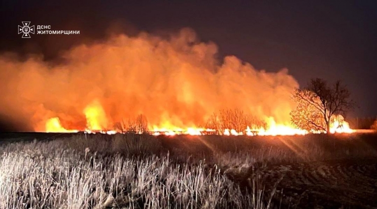У селі Каленське горіли майже 3 га сухої трави, вогонь ледь не перекинувся на будинки та господарчі споруди