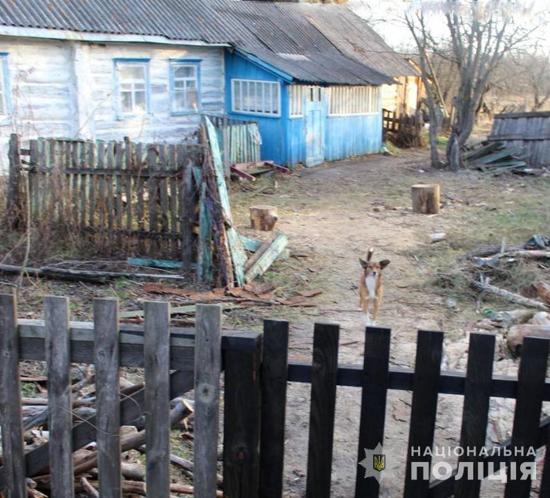 У Коростенській громаді затримали чоловіка, який вбив пенсіонера, бо той не хотів іти додому після гостин