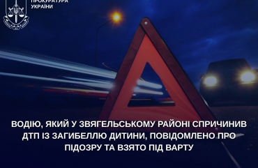 Водію, який у Звягельському районі спричинив ДТП із загибеллю дитини, повідомлено про підозру та взято під варту