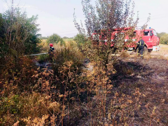 В Андрушівській громаді загорілося поле з соєю: пожежа знищила посіви — на площі 1 га