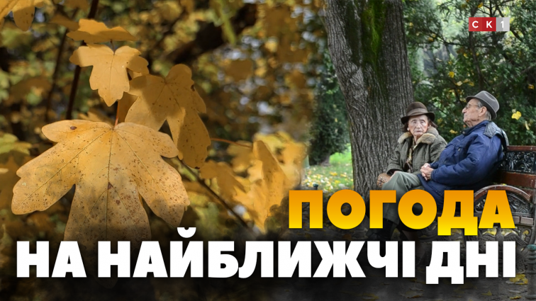 Яку погоду очікувати житомирянам найближчими днями? (ВІДЕО)